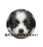 リル色日和（個別スタンプ：1）