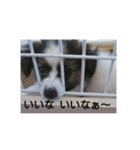 リル色日和（個別スタンプ：3）