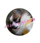 リル色日和（個別スタンプ：8）