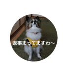 リル色日和（個別スタンプ：14）