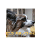 リル色日和（個別スタンプ：16）