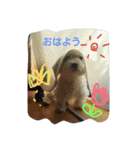 RUIとGINとTETU。（個別スタンプ：1）