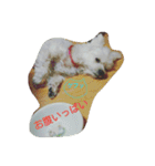 RUIとGINとTETU。（個別スタンプ：2）