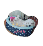 RUIとGINとTETU。（個別スタンプ：4）