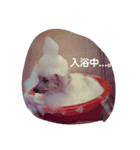 RUIとGINとTETU。（個別スタンプ：6）