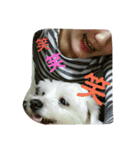RUIとGINとTETU。（個別スタンプ：11）