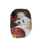 RUIとGINとTETU。（個別スタンプ：13）