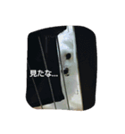 RUIとGINとTETU。（個別スタンプ：14）