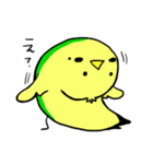 ぴよぴよズ（個別スタンプ：10）