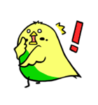ぴよぴよズ（個別スタンプ：18）