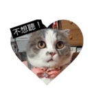 cat faces smile（個別スタンプ：10）