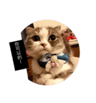 cat faces smile（個別スタンプ：16）
