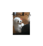 六ちん（個別スタンプ：3）