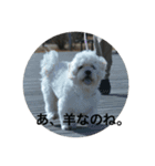 六ちん（個別スタンプ：6）