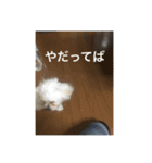 六ちん（個別スタンプ：10）