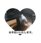 六ちん（個別スタンプ：12）