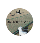 六ちん（個別スタンプ：13）