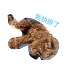 PP's daily（個別スタンプ：9）