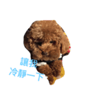 PP's daily（個別スタンプ：14）
