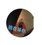 PP's daily（個別スタンプ：16）