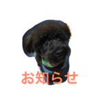 ノエベーと愉快な仲間達（個別スタンプ：1）