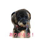 ノエベーと愉快な仲間達（個別スタンプ：2）