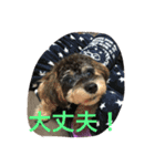 ノエベーと愉快な仲間達（個別スタンプ：3）