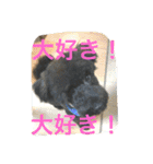 ノエベーと愉快な仲間達（個別スタンプ：4）