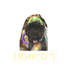 ノエベーと愉快な仲間達（個別スタンプ：7）