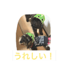 ノエベーと愉快な仲間達（個別スタンプ：8）