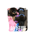 ノエベーと愉快な仲間達（個別スタンプ：9）