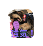 ノエベーと愉快な仲間達（個別スタンプ：10）