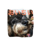 ノエベーと愉快な仲間達（個別スタンプ：12）