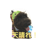ノエベーと愉快な仲間達（個別スタンプ：13）