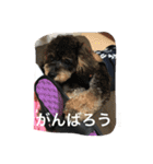 ノエベーと愉快な仲間達（個別スタンプ：14）