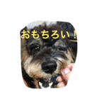 ノエベーと愉快な仲間達（個別スタンプ：15）