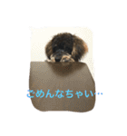 ノエベーと愉快な仲間達（個別スタンプ：16）