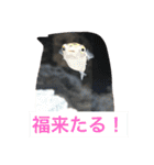 ノエベーと愉快な仲間達（個別スタンプ：17）