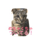 ノエベーと愉快な仲間達（個別スタンプ：18）