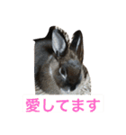 ノエベーと愉快な仲間達（個別スタンプ：20）