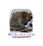ノエベーと愉快な仲間達（個別スタンプ：22）