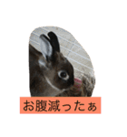 ノエベーと愉快な仲間達（個別スタンプ：23）