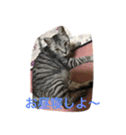 ノエベーと愉快な仲間達（個別スタンプ：24）