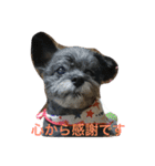 ノエベーと愉快な仲間達（個別スタンプ：26）