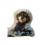 ノエベーと愉快な仲間達（個別スタンプ：27）