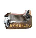 ノエベーと愉快な仲間達（個別スタンプ：29）