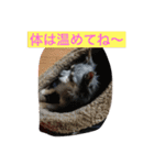 ノエベーと愉快な仲間達（個別スタンプ：30）