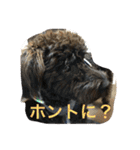ノエベーと愉快な仲間達（個別スタンプ：31）