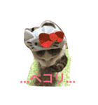 ノエベーと愉快な仲間達（個別スタンプ：32）