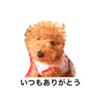 ノエベーと愉快な仲間達（個別スタンプ：33）
